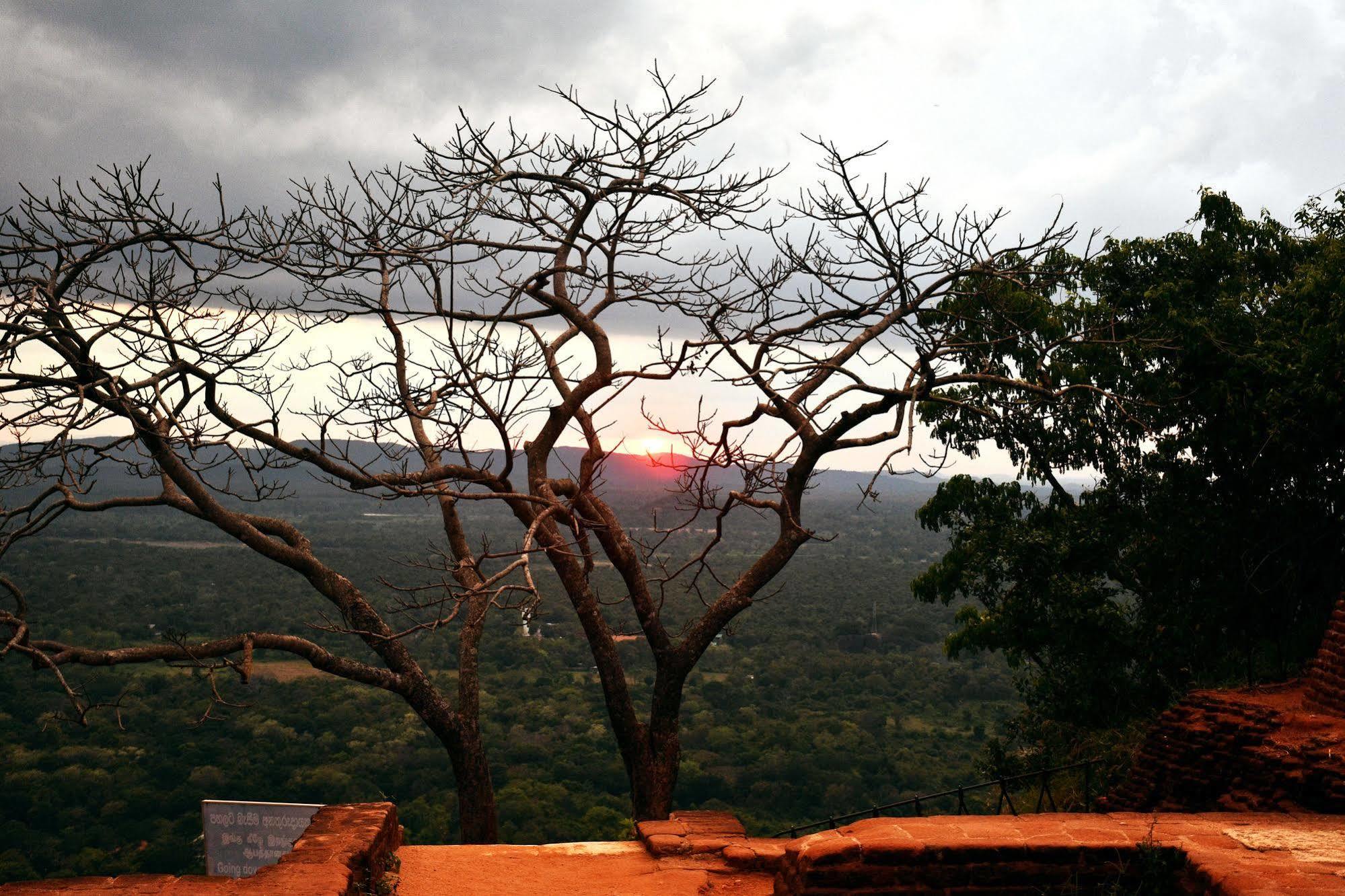 Cassandra Culture Resort Sigiriya Exteriér fotografie